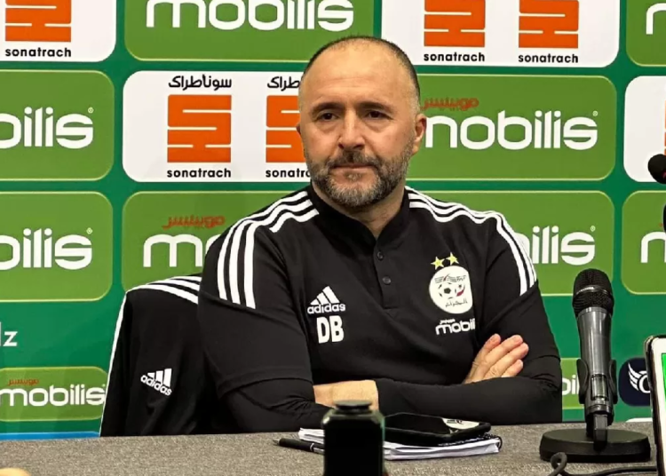 CAN 2023 : pour Djamel Belmadi, le Cameroun, on en parle ?