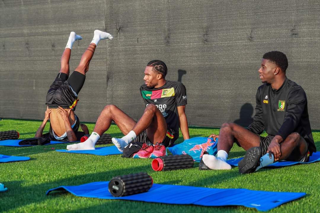 Échos de la tanière : le lundi des Lions en images