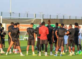 Moumi Ngamaleu, Cameroun, Zambie