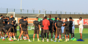 Moumi Ngamaleu, Cameroun, Zambie