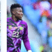 André Onana, Lion Indomptable