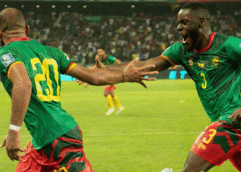 Tchamadeu, Stoke City, Lions Indomptables