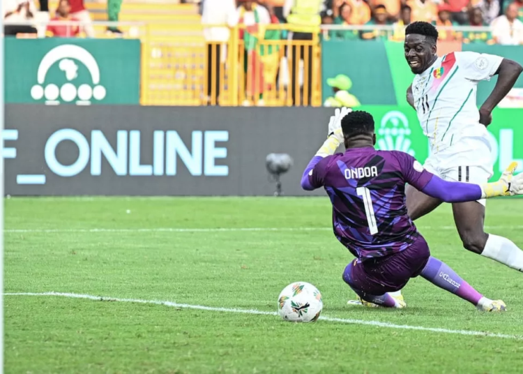 Cameroun – Guinée : 1 – 1 (score final)