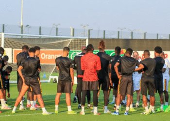 Moumi Ngamaleu, Cameroun, Zambie