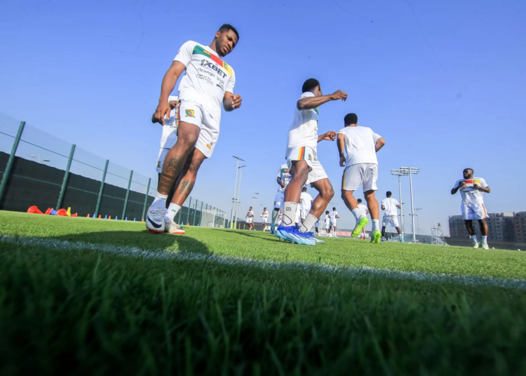 Jeddah, les Lions se sont préparés pour la Zambie
