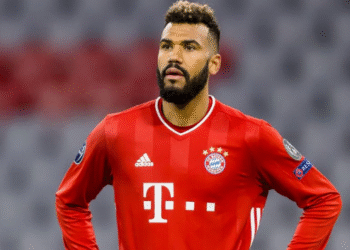 Choupo-Moting, Bayern Munich, LDC, Hoffenhein