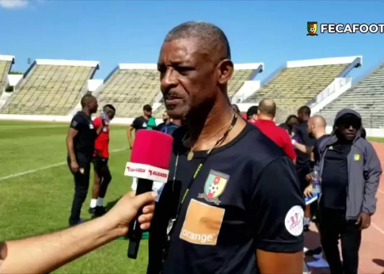 Nouveau staff des Lions, comme un air de déjà vu