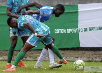 Élite One : les manœuvres de Coton Sport pour être champion