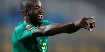 Stéphane Bahoken, Lions Indomptables