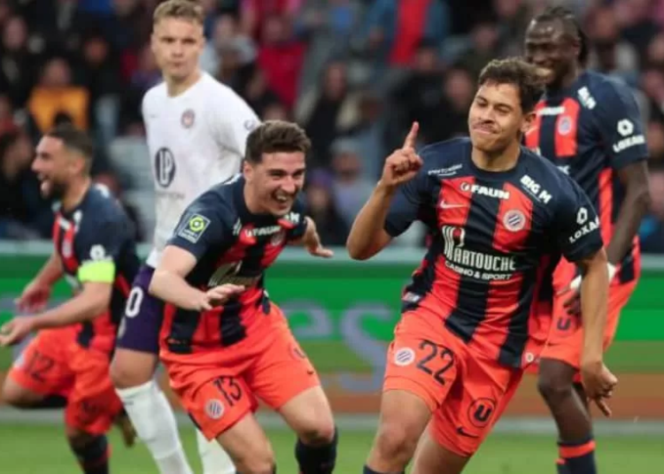 Montpellier, Enzo Tchato, Toulouse