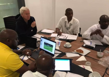 Marc Brys, Lions Indomptables, Fécafoot