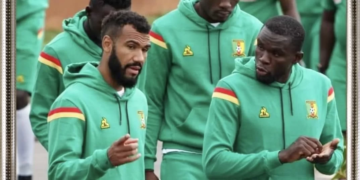 Lions Indomptables : la liste de Marc Brys avec Choupo-Moting et Ngadeu