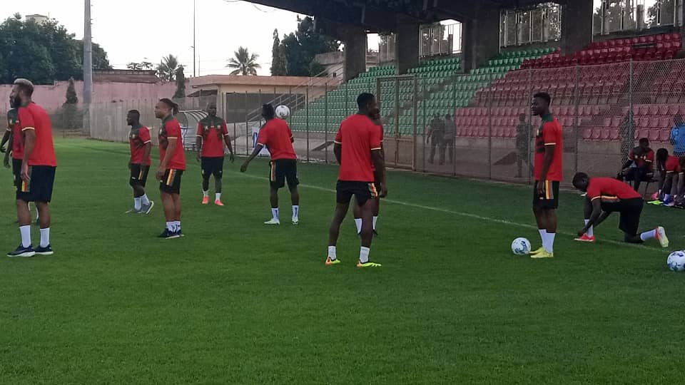 Lions Indomptables, Marc Brys,