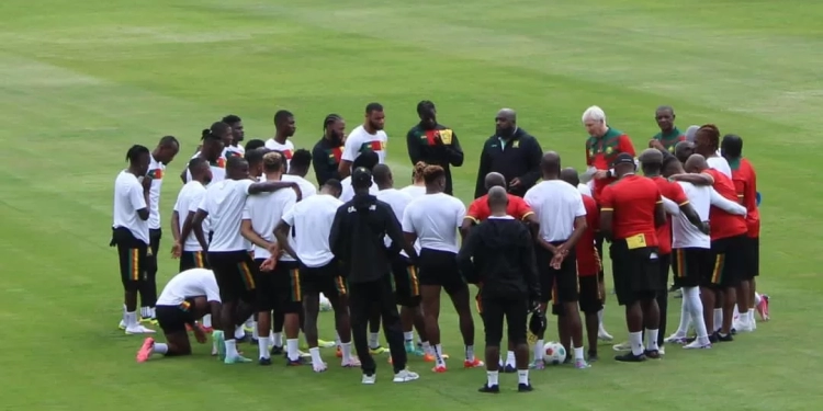 Lions indomptables, Vincent Aboubakar, Marc Brys, CAN 2025