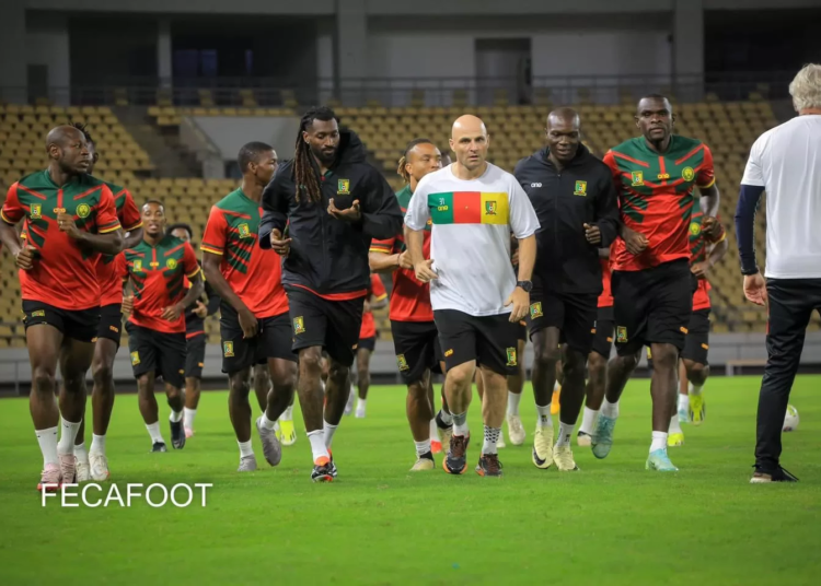 Échos de la tanière : les joueurs refusent le matériel de la Fecafoot