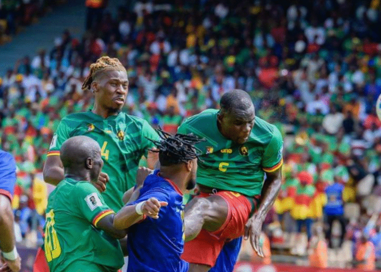 Ngadeu Ngadjui, Lions Indomptables,
