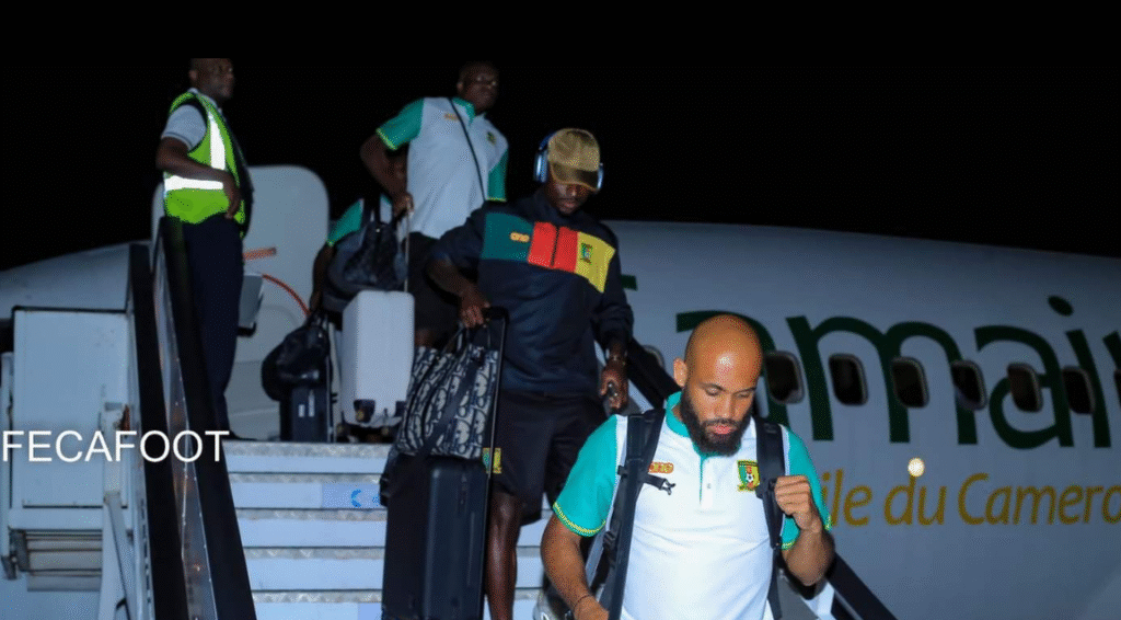 Lions Indomptables, Angola, Palancas negras