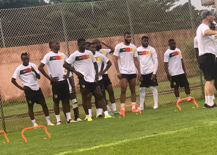 Élim CDM 2026 : troisième séance d’entraînement des Lions