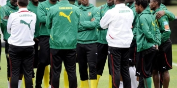 Alexandre Song, Lions Indomptables,