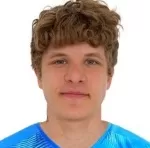 V. Paltsev