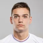N. Pavić