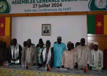 Coton sport de Garoua, Coupe du Cameroun