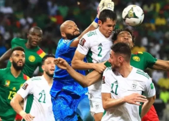 Léandre Tawamba, Lions Indomptables