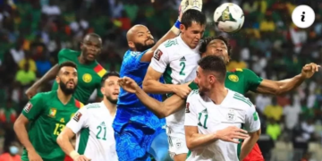 Léandre Tawamba, Lions Indomptables