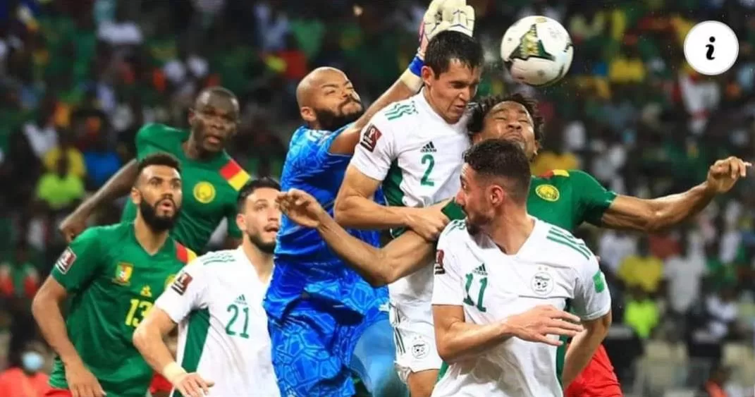 Léandre Tawamba, Lions Indomptables