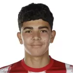 Salim El Jebari El Hannouni