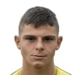 K. Pavlov