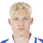 N. De Ridder