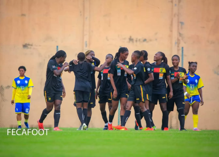 Lions U20, Coupe du monde U20