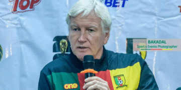 Fécafoot, Marc Brys, Lions Indomptables
