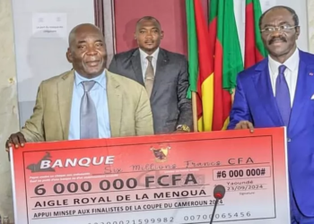 Aigle de la Menoua, Colombe du Dja et Lobo, Coupe du Cameroun