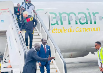 Marc Brys, Lions Indomptables, Minsep