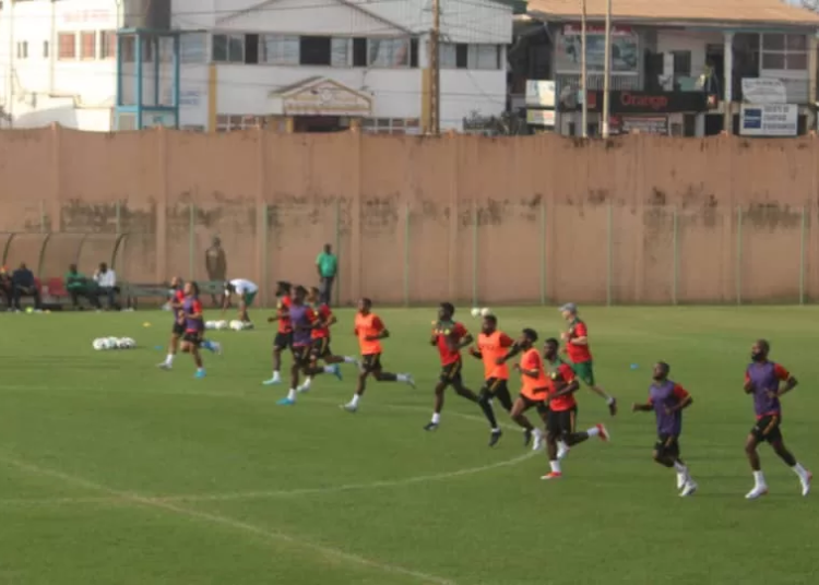 Lions Indomptables, Vincent Aboubakar, Marc Brys