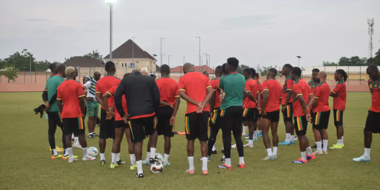 Lions Indomptables, Marc Brys, Namibie, Garoua