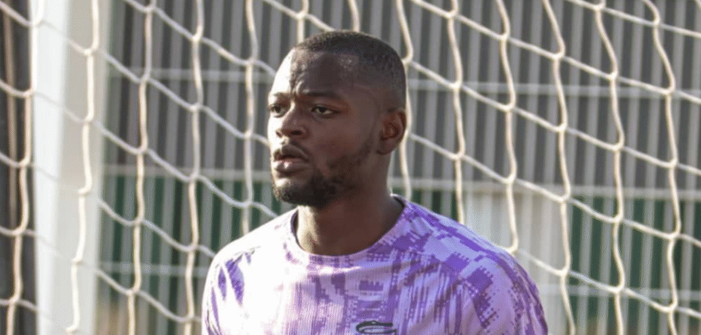 Simon Ngapandouetnbu, Nîmes Olympique, Lions Indomptables