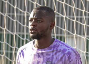 Simon Ngapandouetnbu, Nîmes Olympique, Lions Indomptables