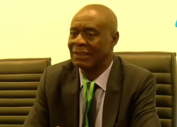 Pr Nkou Mvondo, Fécafoot, Lions Indomptables, Namibie