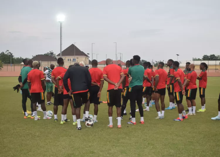 Lions Indomptables, Marc Brys, Namibie, Garoua