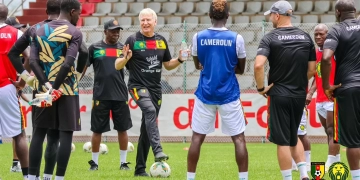 Lions Indomptables, Marc Brys, Vincent Aboubakar