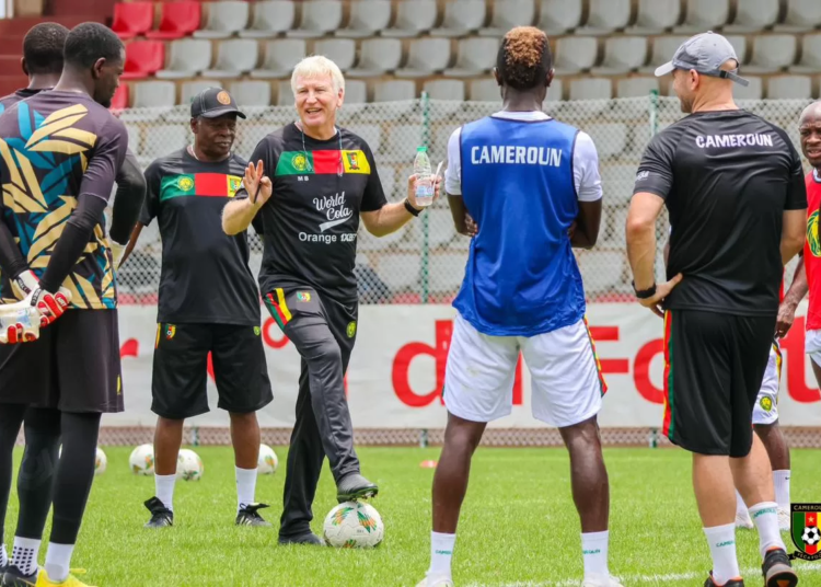 Lions Indomptables, Marc Brys, Vincent Aboubakar