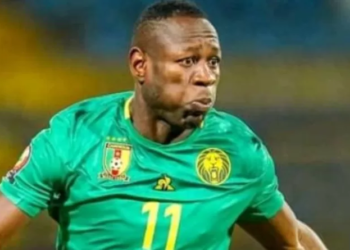 Christian Bassogog, Lions Indomptables, Marc Brys