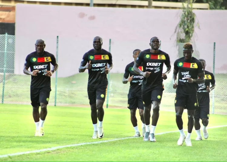 Lions indomptables : 18 joueurs déjà présents dans la tanière