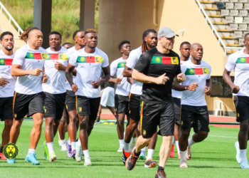 Kenya Cameroun pratique du 13 oct 2024