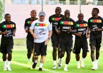 Les Lions Indomptables, Vincent Aboubakar, Patrick Soko