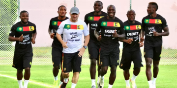 Les Lions Indomptables, Vincent Aboubakar, Patrick Soko