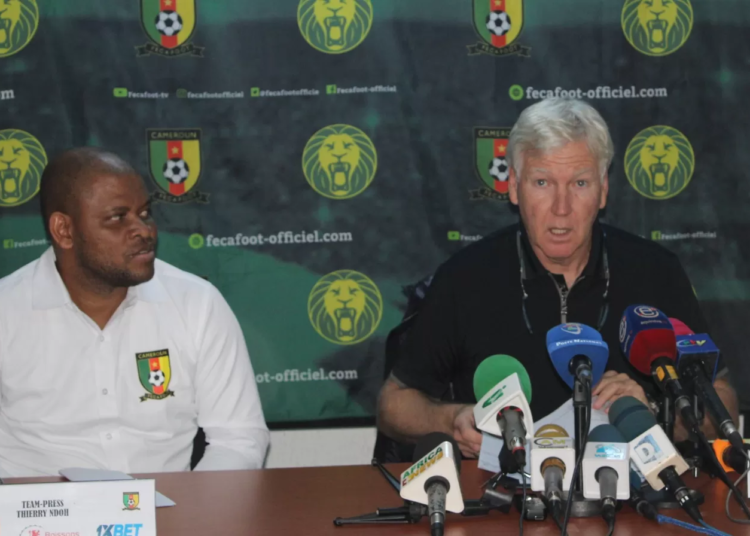 Marc Brys, Fécafoot, Lions Indomptables